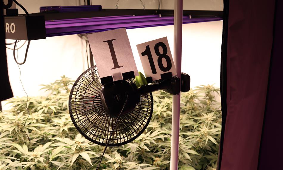 2021-2-2-1639Domovn¡ prohl¡dka 2.JPG